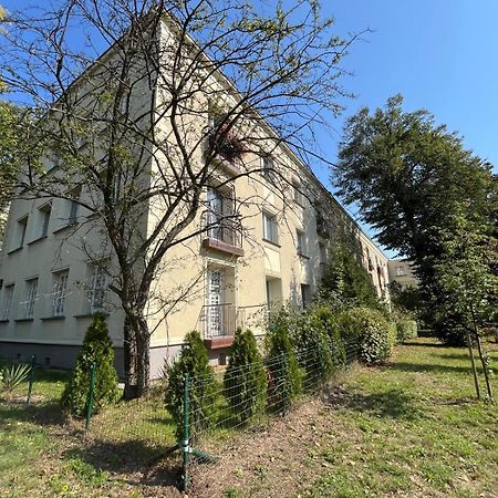 קטוביץ Apartament Centrum Rp מראה חיצוני תמונה